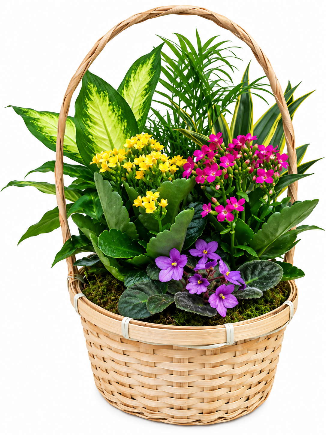 Botanical Garden Basket