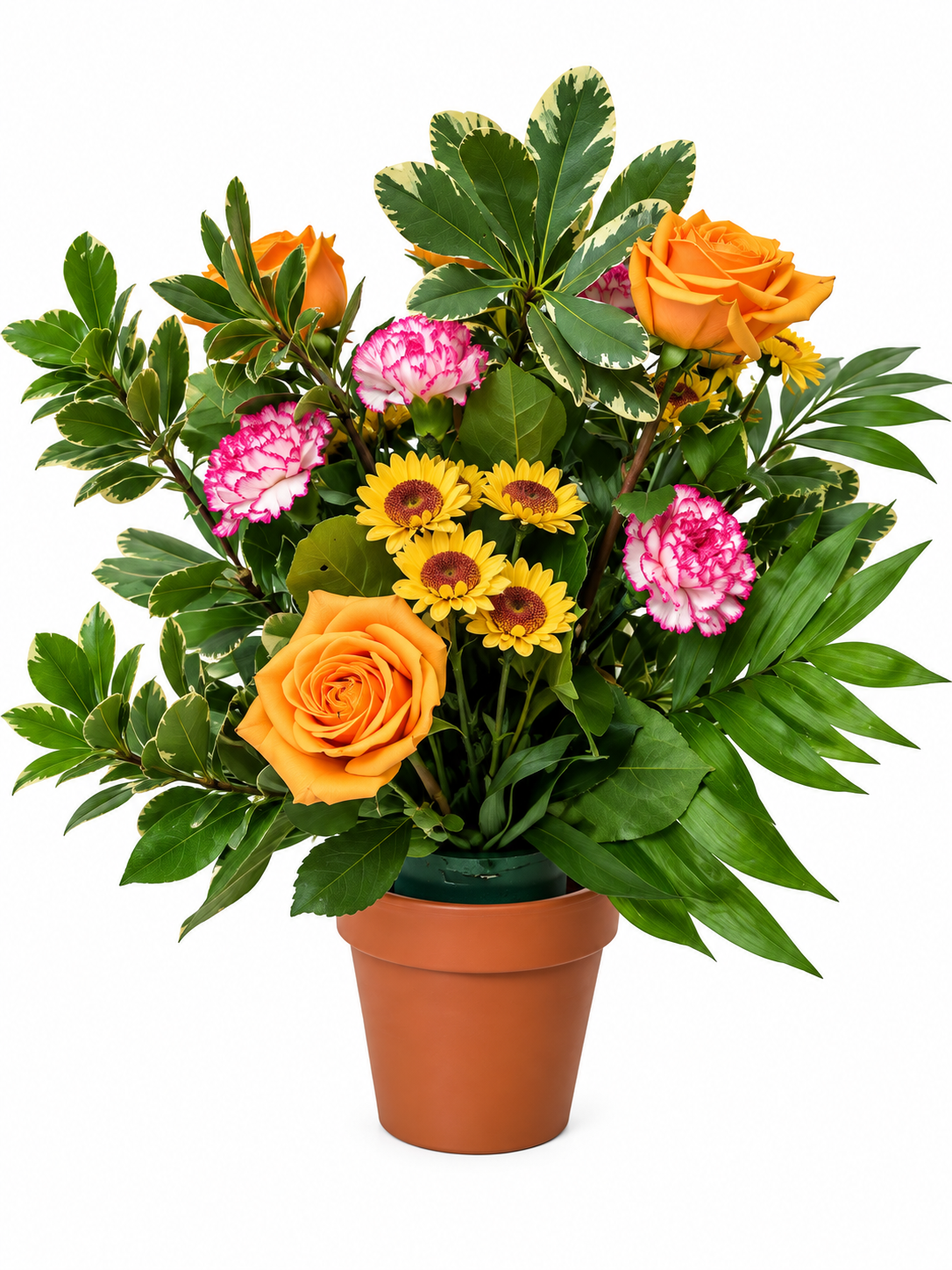 Garden Comfort Pot